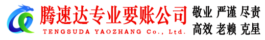 龙湖收债公司